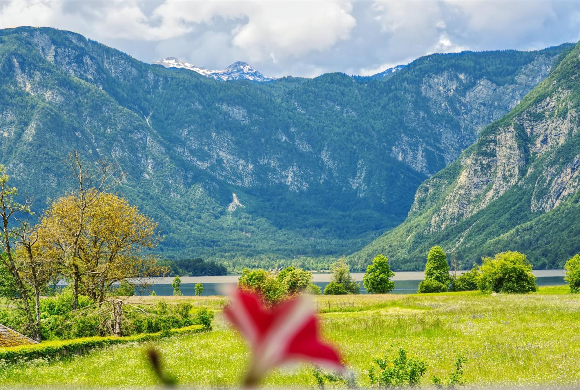 Apartments Kovacic Bohinj Exterior foto